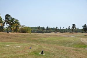 Tobago Plantations 11th